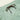 S24_Shorts_Salado_Minty_Detail-2