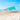 Shibumi Shade Quiet Canopy and Wind Assist Mini 3.0 Bundle - Hibiscus