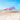 Shibumi Shade Quiet Canopy and Wind Assist Bundle Mini  3.0 - Coral