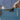 SHARPNER_1000x[1]
