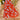 Vanna Garden Glory Maxi Skirt